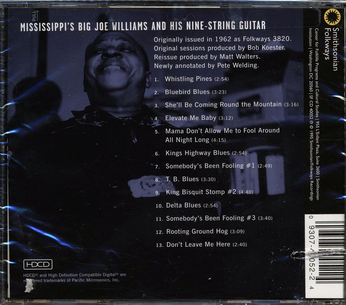Big Joe Williams - Mississippi's Big Joe Williams And His Nine String Guitar