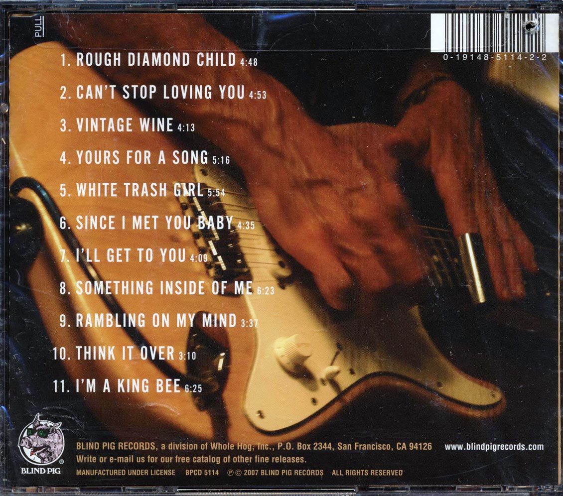 Dave Hole - Rough Diamond