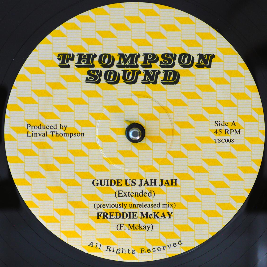 Freddie McKay, The Roots Radics - Guide Us Jah Jah (extended Mix) / Al Campbell, The Roots Radics - Unfaithful Children (Extended Mix)