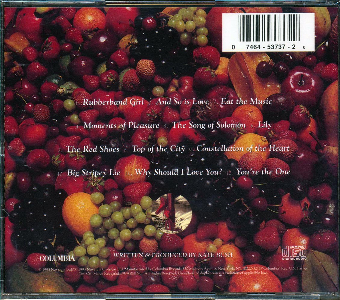 Kate Bush - The Red Shoes