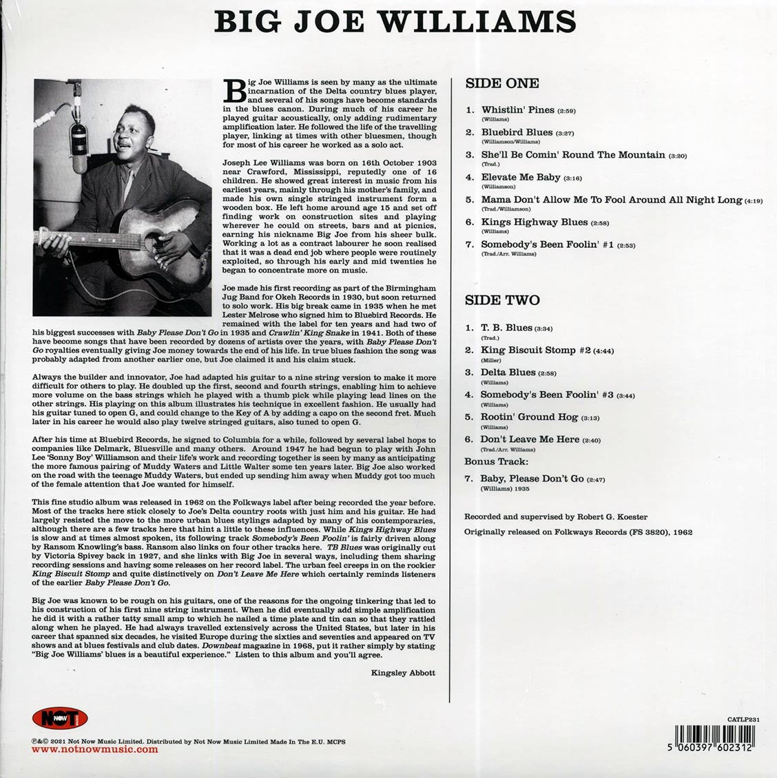 Big Joe Williams - Big Joe Williams And His Nine String Guitar (180g)
