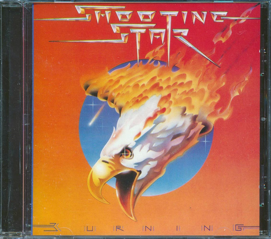 Shooting Star - Burning