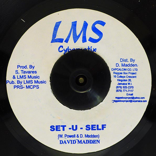 David Madden - Set U Self / David Madden - Setup