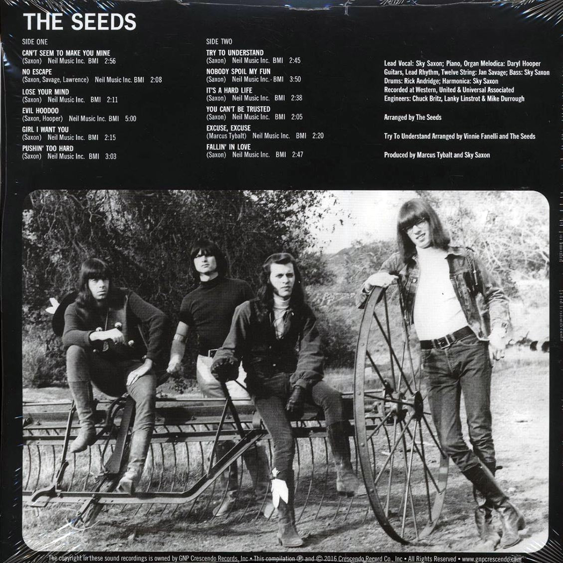 The Seeds - The Seeds (+9 bonus tracks) (mono) (2xLP) (180g) (deluxe edition)