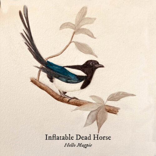 INFLATABLE DEAD HORSE - HELLO MAGPIE