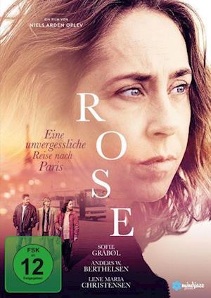 ROSE - ROSE