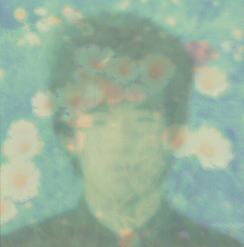 LOVE WONDERLAND - BEST TWILIGHTS OF