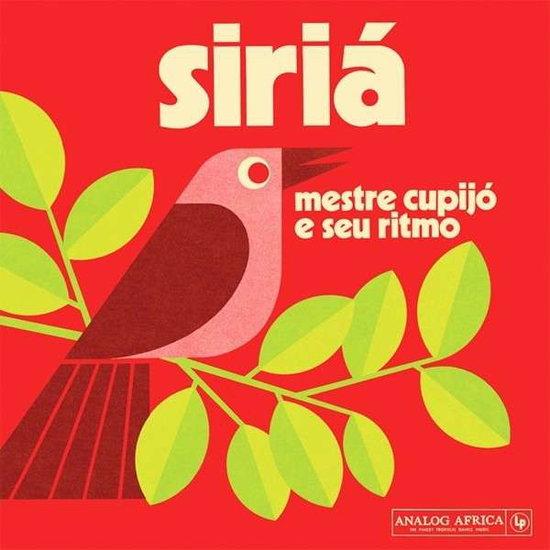 CUPIJO,MESTRE E SEU RITMO - SIRIA
