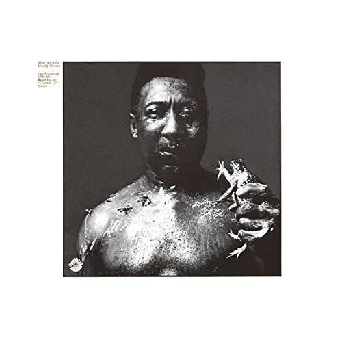 MUDDY WATERS - AFTER THE RAIN