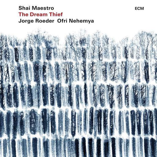 MAESTRO,SHAI - DREAM THIEF