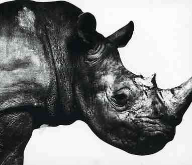 MR.CHILDREN - MR.CHILDREN 1992-1994 NIKU