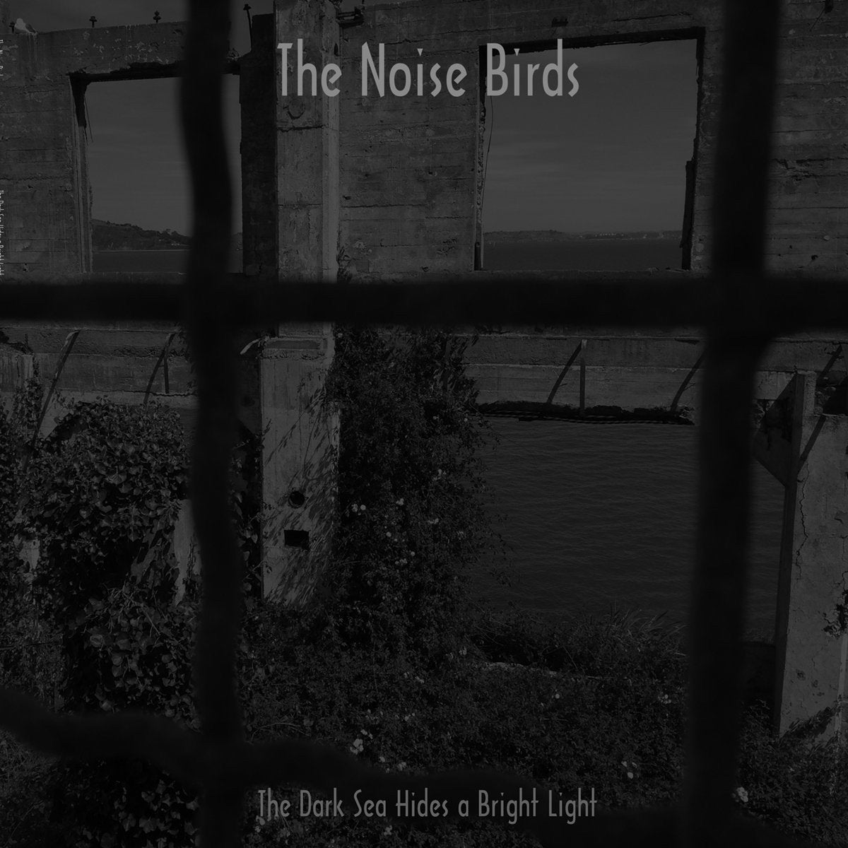 NOISE BIRDS - DARK SEA HIDES A BRIGHT LIGHT