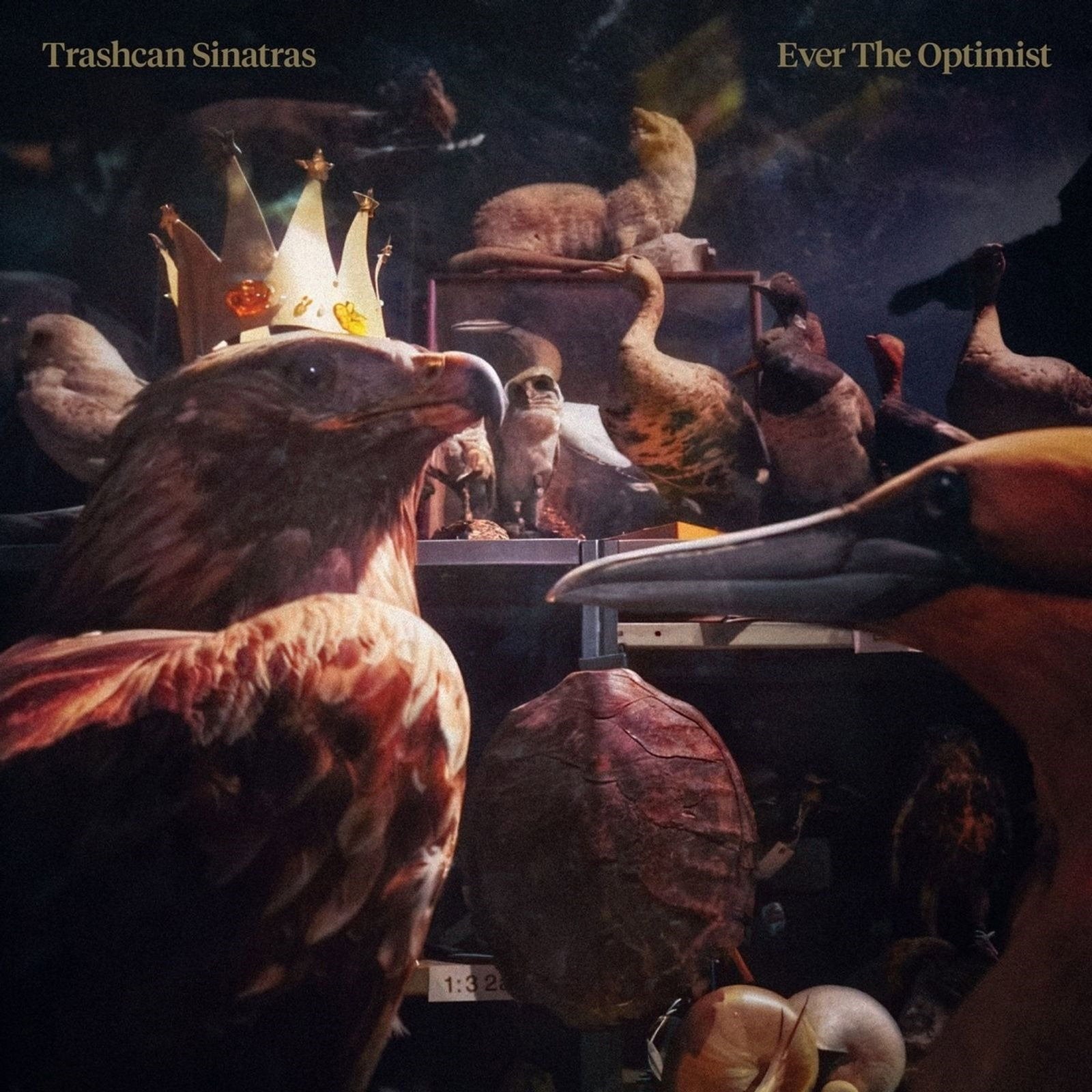 TRASHCAN SINATRAS - EVER THE OPTIMIST (GOLD VINYL)