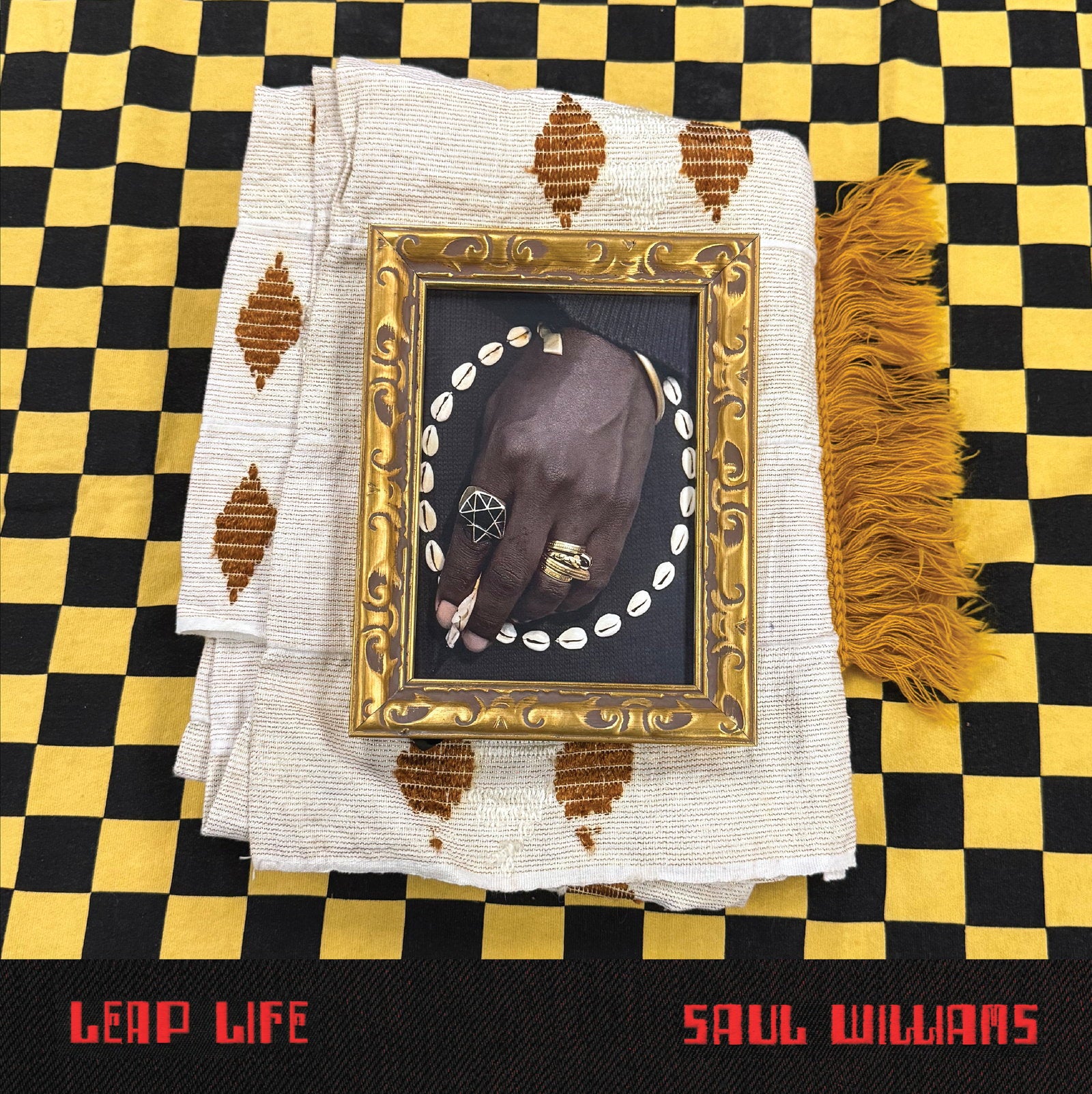 WILLIAMS,SAUL - LEAP LIFE