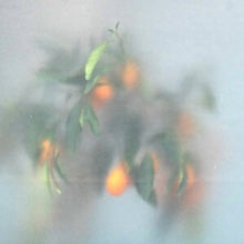 ?-ziq & Mrs Jynx - Secret Garden (ltd/Green Vinyl)