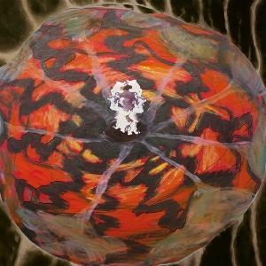 SPECTACLE OF LIGHT ABDUCTI - MUSIC FOR THE PAINTINGS OF VED
