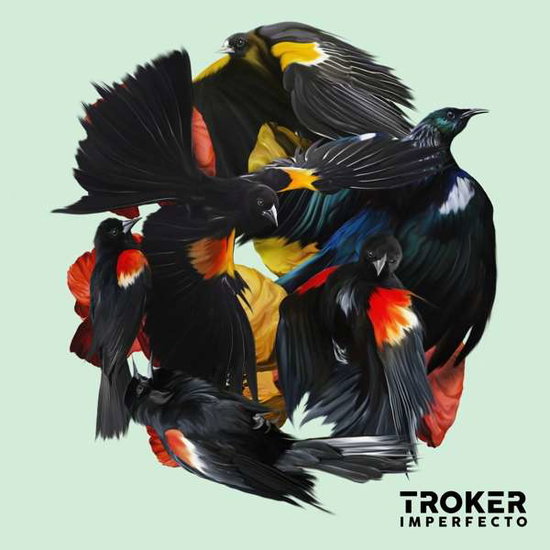 TROKER - IMPERFECTO