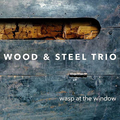 WOOD & STEEL TRIO - WASP AT THE WINDOW