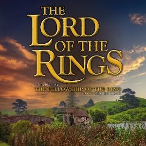 LORD OF THE RINGS (MASK) - FELLOWSHIP OF THE RINGS (180G/GREEN MOSS SOLID VINYL)