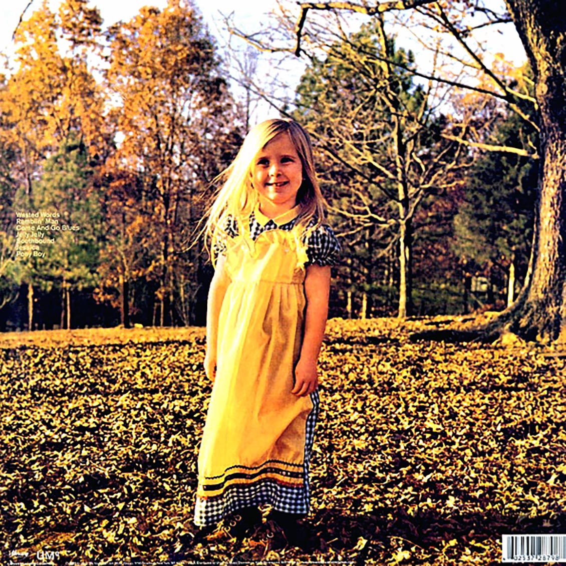 The Allman Brothers Band - Brothers And Sisters (180g) (audiophile)