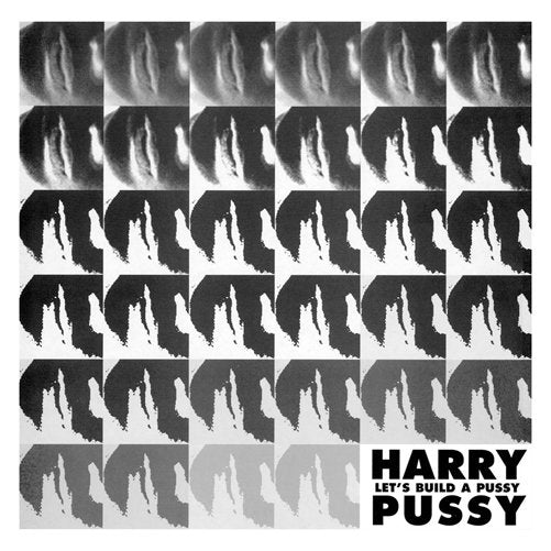 HARRY PUSSY - LET'S BUILD A PUSSY (2LP)
