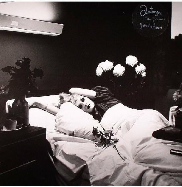 ANTONY & THE JOHNSONS - I AM A BIRD NOW