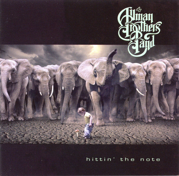 ALLMAN BROTHERS BAND - HITTIN THE NOTE