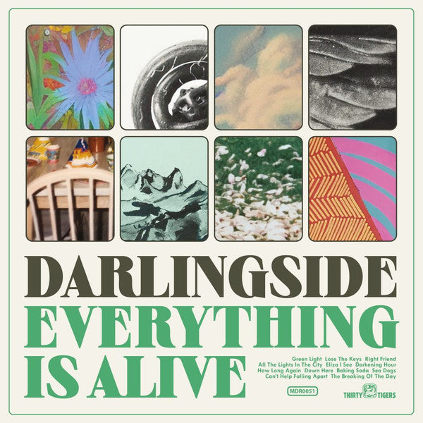 DARLINGSIDE - EVERYTHING IS ALIVE