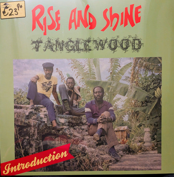 TANGLEWOOD - RISE & SHINE