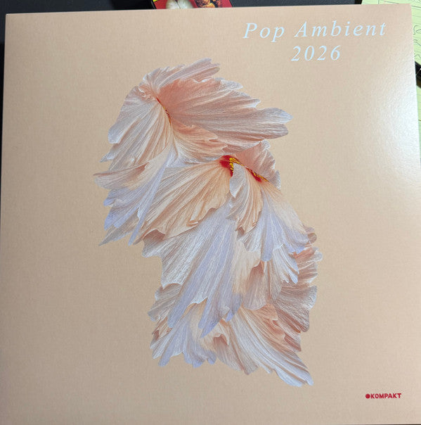 VARIOUS ARTISTS - POP AMBIENT 2026