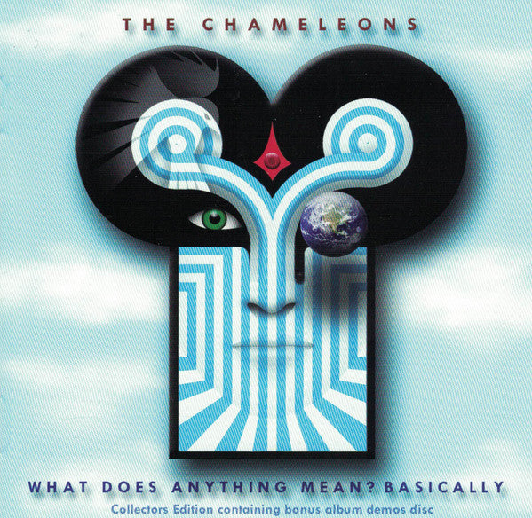 CHAMELEONS - WHAT DOES ANYTHING