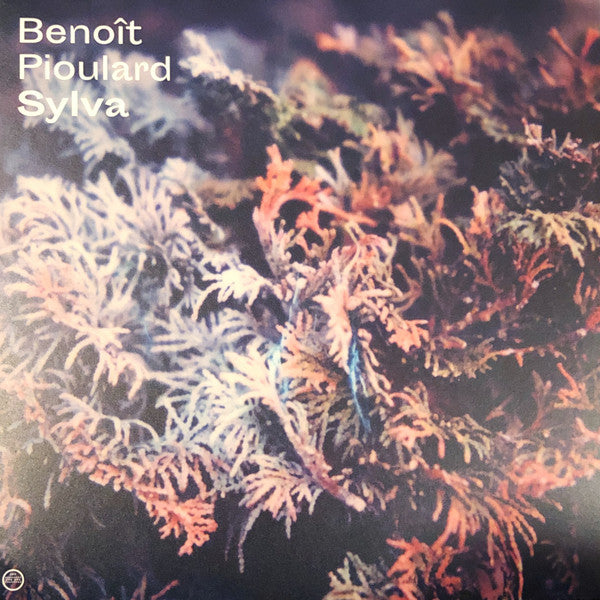 PIOULARD BENOIT - SYLVA