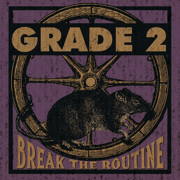 GRADE 2 - BREAK THE ROUTINE