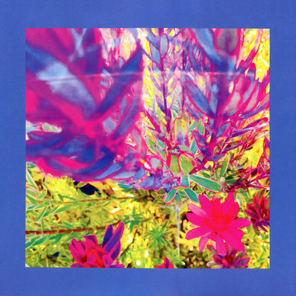 REDS, PINKS & PURPLES - PAST IS A GARDEN I NEVER FED (NEON PINK VINYL)