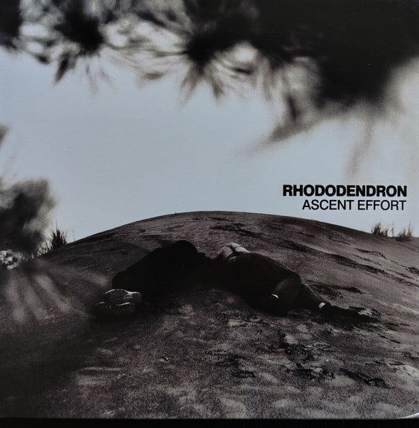 RHODODENDRON - ASCENT EFFORT (COLOR VINYL)