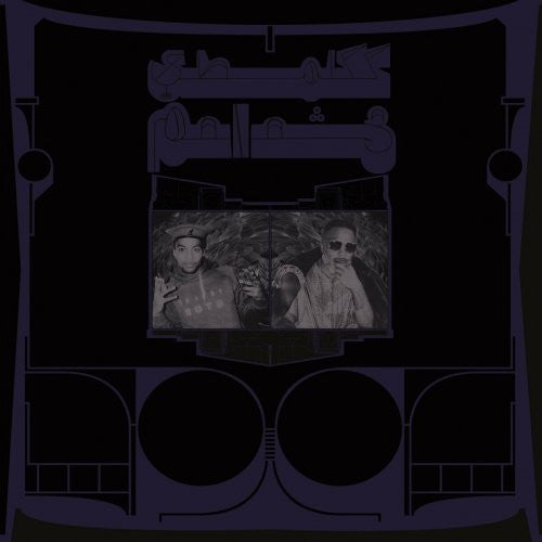 SHABAZZ PALACES - EXOTIC BIRDS OF PREY