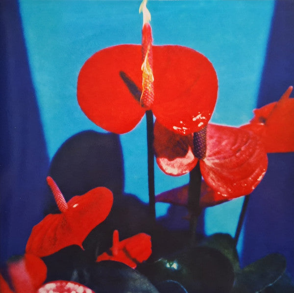 INHALER - OPEN WIDE (RED MARBLE VINYL/ALTERNATIVE ARTWORK)