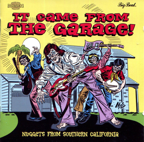 VARIOUS ARTISTS - IT CAME FROM THE GARAGE: NUGGETS FROM / VARIOUS