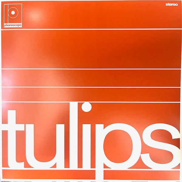 MASTON - TULIPS