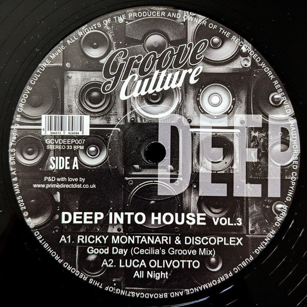 VARIOUS ARTISTS - DEEP INTO HOUSE VOL. 3