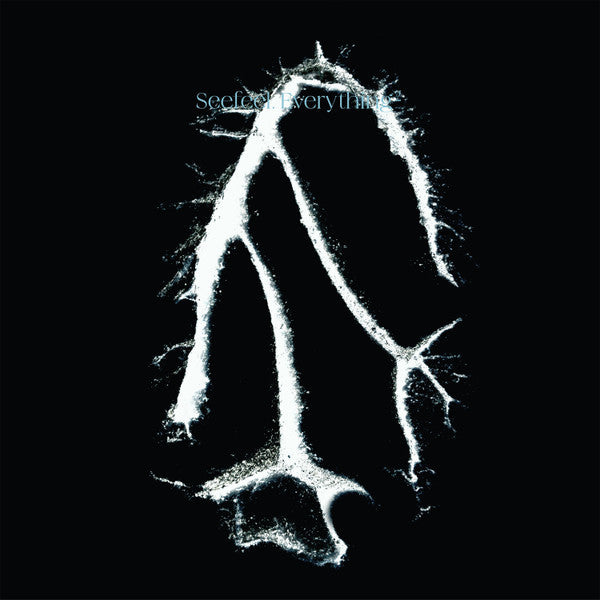 SEEFEEL - EVERYTHING SQUARED (EP)