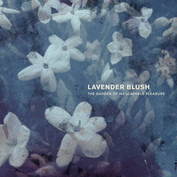 LAVENDER BLUSH - GARDEN OF INESCAPABLE PLEASURE