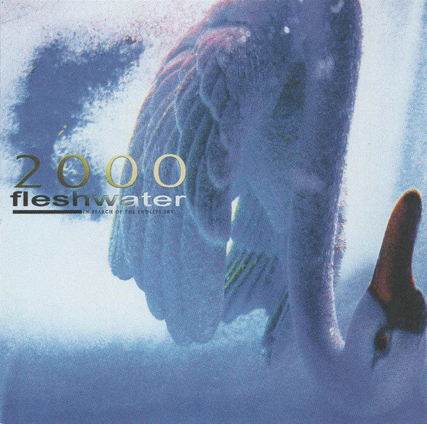 FLESHWATER - 2000: IN SEARCH OF THE ENDLESS SKY