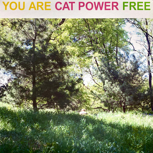CAT POWER - YOU ARE FREE