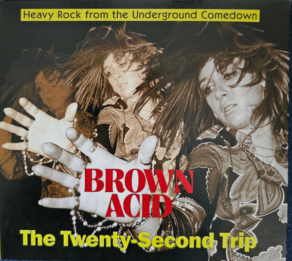 VARIOUS ARTISTS - BROWN ACID - THE TWENTY-SECOND TRIP