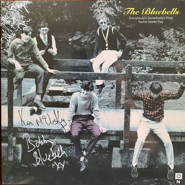 BLUEBELLS - EVERYBODY'S SOMEBODY'S FOOL