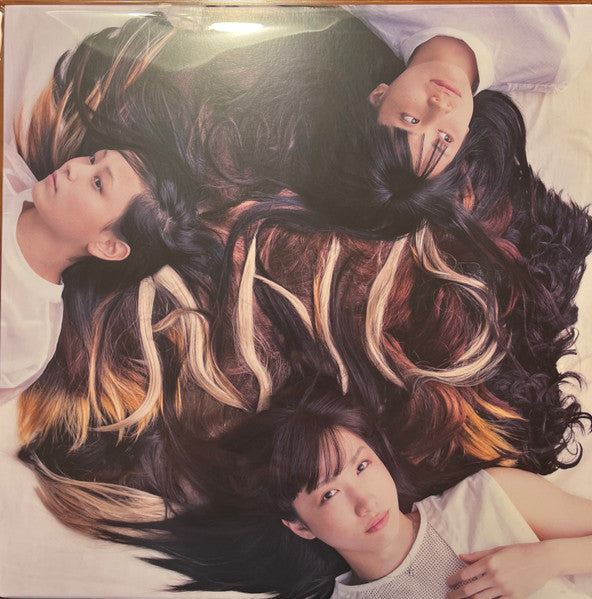 TRICOT - A N D (BROWN IN TAN VINYL)