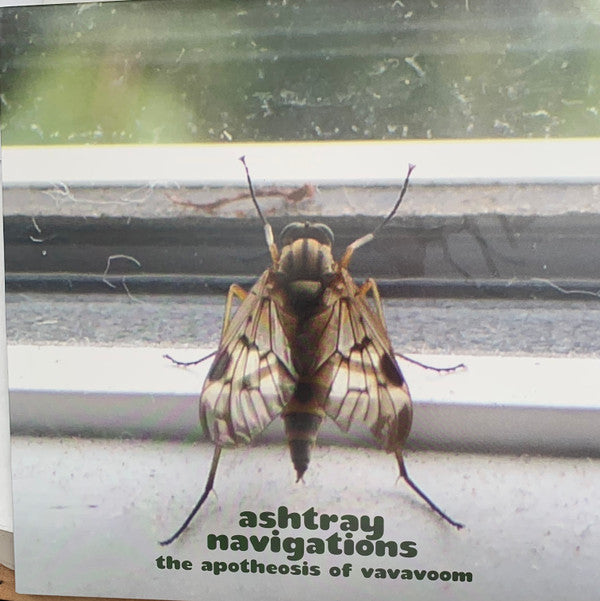 ASHTRAY NAVIGATIONS - APOTHEOSIS OF VAVAVOOM