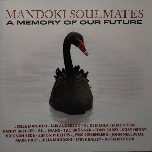 MANDOKI SOULMATES - MEMORY OF OUR FUTURE