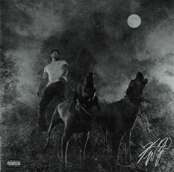 WETZEL KOE - NIGHT CHAMPION (X)